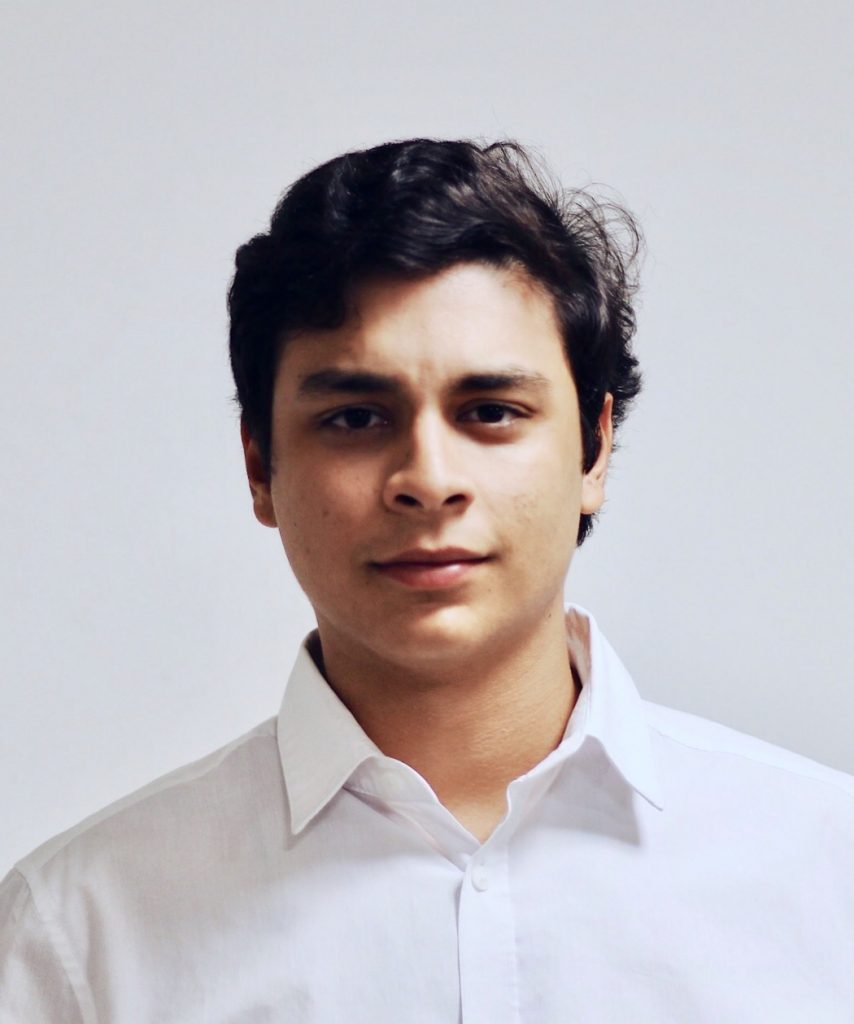 Investment Professional