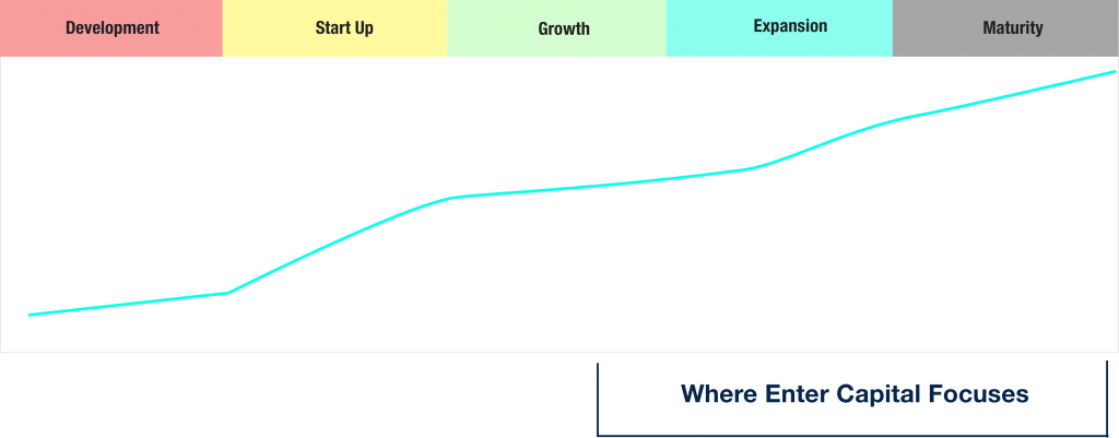 investment thesis